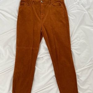 Cello Burnt Orange Jeans